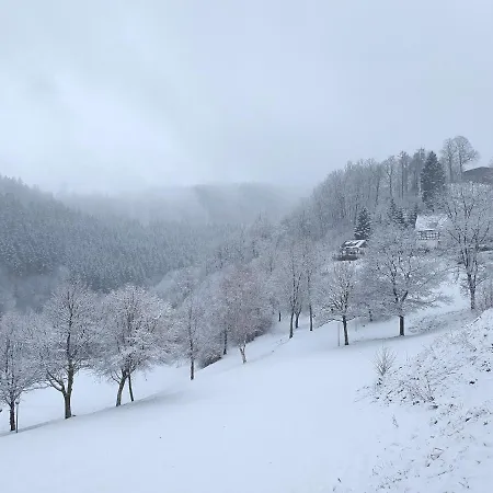 Grimme - 350m2, 18 Betten - Mit Indoorspielplatz, Pool, Grosser Terrasse, Grill, Sauna, Kicker, Dart, Uvm - Ideal Fuer Familien Дом отдыха Шмалленберг