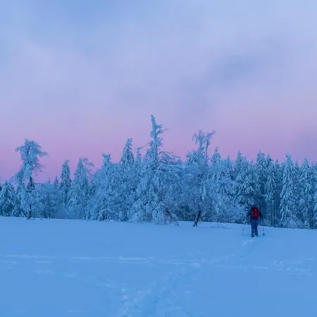 Grimme - 350m2, 18 Betten - Mit Indoorspielplatz, Pool, Grosser Terrasse, Grill, Sauna, Kicker, Dart, Uvm - Ideal Fuer Familien Дом отдыха