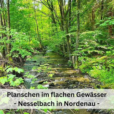 Haus Grimme Im Kurpark - Xxl Familien- & Erlebnishaus Mit Sauna, Whirlpool, Pool & Indoorspielplatz * Schmallenberg