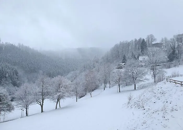 Grimme - 350m2, 18 Betten - Mit Indoorspielplatz, Pool, Grosser Terrasse, Grill, Sauna, Kicker, Dart, Uvm - Ideal Fuer Familien Prázdninový dům Schmallenberg
