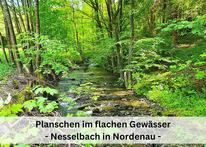 Grimme - 350m2, 18 Betten - Mit Indoorspielplatz, Pool, Grosser Terrasse, Grill, Sauna, Kicker, Dart, Uvm - Ideal Fuer Familien * Schmallenberg